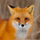 jp.fox's avatar